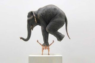 elefant man